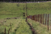 L2367469