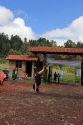 T2367196