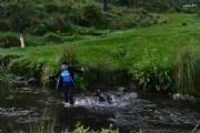 K2368616