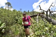L2362328