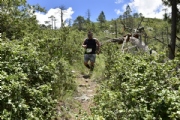 M2361320