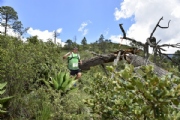 M2362343