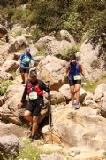 D2360154