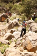 G2358495