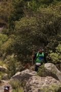K2359661