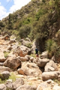 L2358226