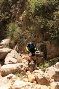 L2358231