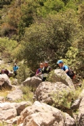 L2358287