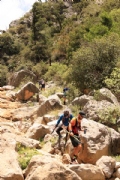 L2359519