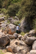 N2358221