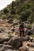 N2358391