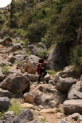 N2358397