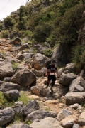 N2358428