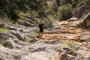 N2359164