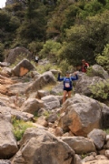 P2359211