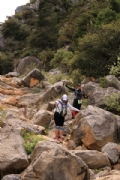 P2359856