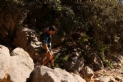 W2357715