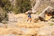 W2359385