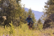E2356397