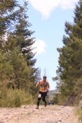 V2356568
