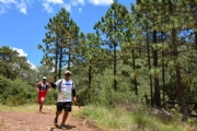 C2355624