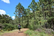 H2355958