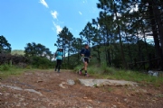 U2355121