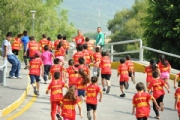 N2343607