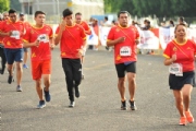 T2343637
