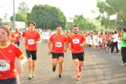 V2343567