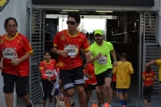 K2339981