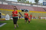 T2338924