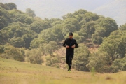 T2350019