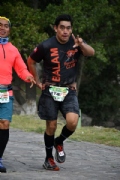 T2352239