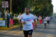 C2354538