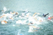 C2397481