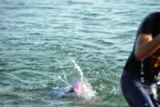 F2397750