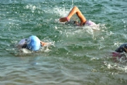 H2397371