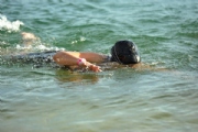 J2397167