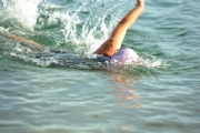 J2397388