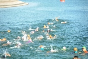 S2397190