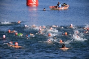 L2377982