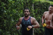 H2393637