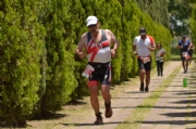 Q2398152