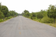 G2387284