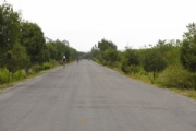 G2387314