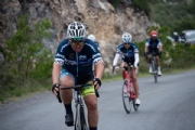 Q2395952