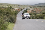 H2392545