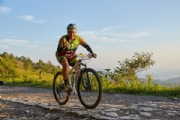 T2405429