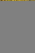 G2410280